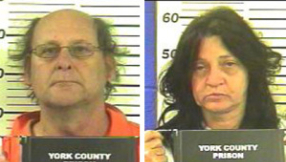 Couple stabbing over Idol: couple stabbed each other over who should win American Idol - Candice Glover or Kree Harrison [VIDEO]