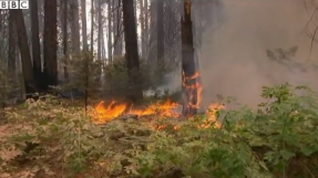 Yosemite Rim Fire [MAP, UPDATE 2013]: Blaze grows to size of Chicago; San Francisco reservoir in danger
