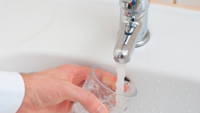 Baroness Masham: The dying should be well looked after