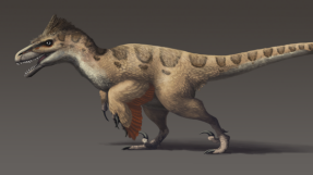 Dinosaur footprints: Largest concentration of dinosaur tracks to be on display in Utah