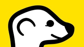 Meerkat live streaming app grows on Twitter