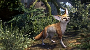 \'Elder Scrolls Online\': New costumes, pets, mounts to hit Crown Store