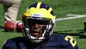 Pittsburgh Steelers vs. Cincinnati Bengals Playoffs 2016 preview: Fitzgerald Toussaint likely to step up with DeAngelo Williams injured