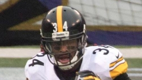 Pittsburgh Steelers injury, roster news 2016: DeAngelo Williams day-to-day with ankle injury