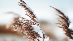 Suffering faith requires a special kind of endurance