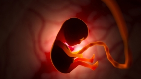 Scientists developing way to make babies without biological mother
