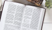 The Passion Translation