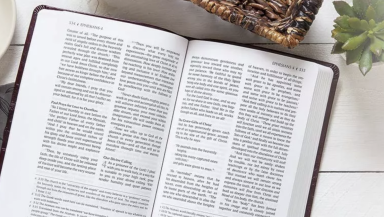 The Passion Translation