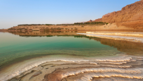 From deserts to gardens: how faith communities are healing the land in the Middle East