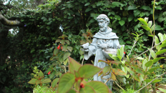 A statue of St Francis of Assisi