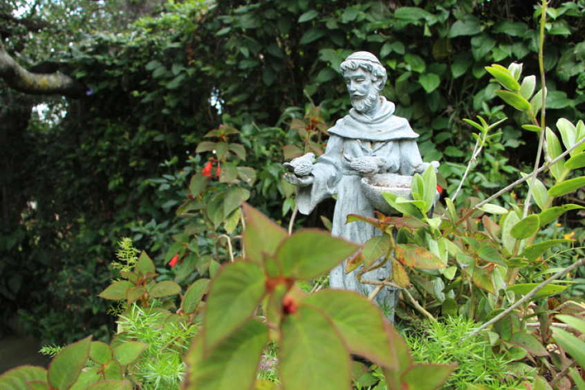 A statue of St Francis of Assisi