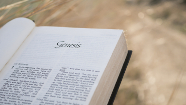 Genesis, Bible