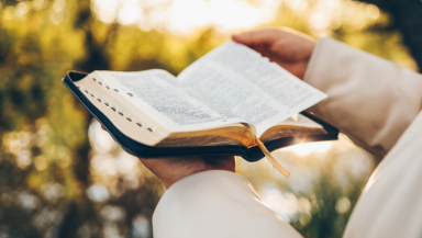 Bible reading, Bible study, faith