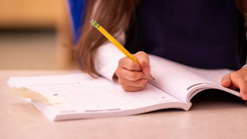 education, school, homework