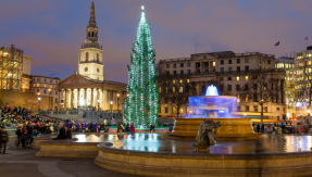 Trafalgar Square Norwegian Pine Christmas tree, Christmas, London at Christmas