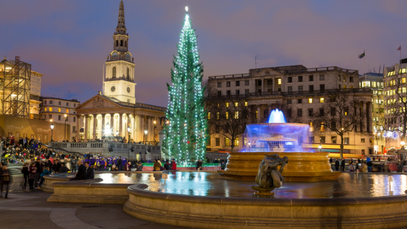 Trafalgar Square Norwegian Pine Christmas tree, Christmas, London at Christmas