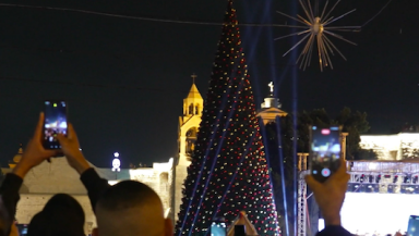 Bethlehem Christmas tree 2025