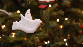 dove, Christmas