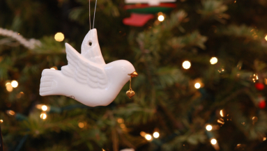 dove, Christmas