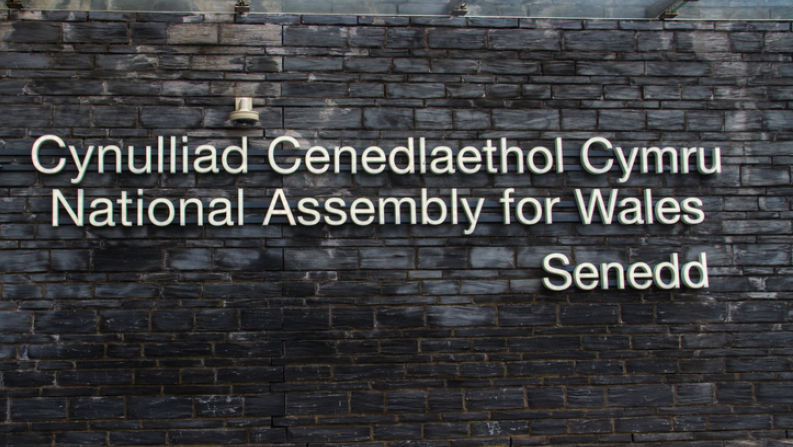 Welsh Assembly, Senedd, Welsh Parliament