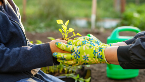 gardening, gentle, kindness, caring, nurturing