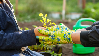 gardening, gentle, kindness, caring, nurturing