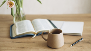 Bible study, Bible, faith