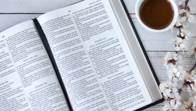 Bible, Christianity, Bible study