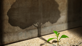 potential, growth, faith, life, goals, dreams, ability, grace