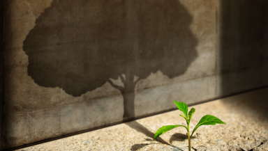 potential, growth, faith, life, goals, dreams, ability, grace