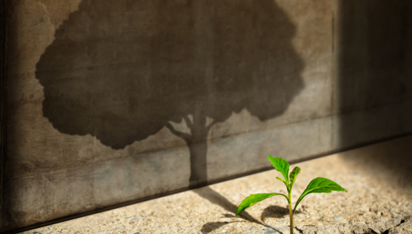 potential, growth, faith, life, goals, dreams, ability, grace