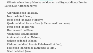 Welsh Bible