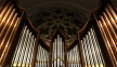 organ