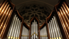 organ
