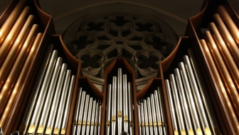 organ