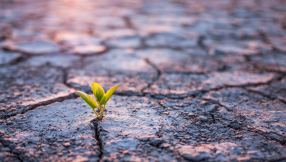 Life beyond burnout: how Christians can grow in the desert seasons