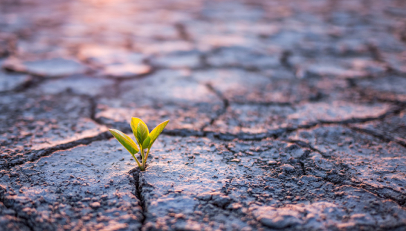 desert, hope, christian living, life