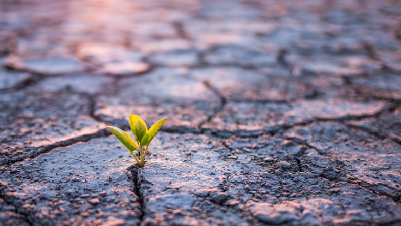 desert, hope, christian living, life