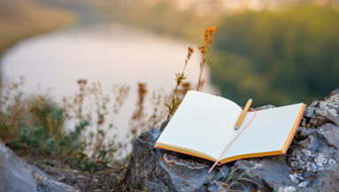 diary, journal, memories, writing