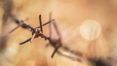 barbed wire, prison, refugee camp