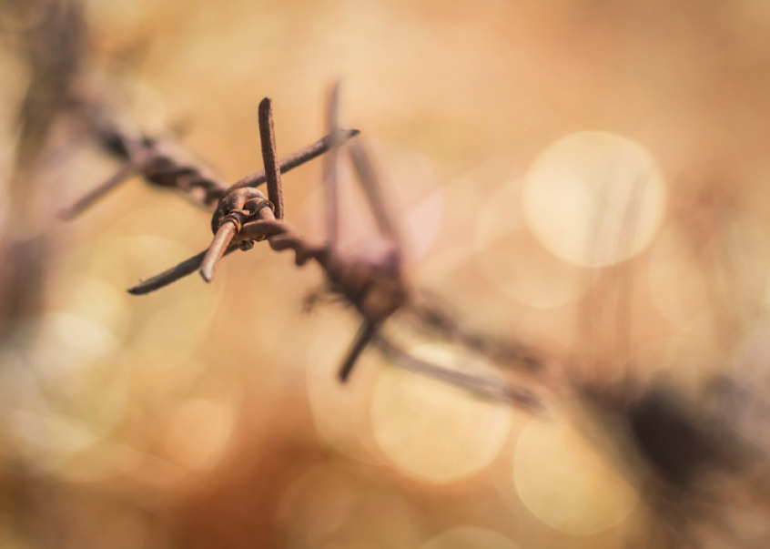 barbed wire, prison, refugee camp