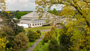 Kew Gardens, nature, gardening, peace, park, outdoors, environment