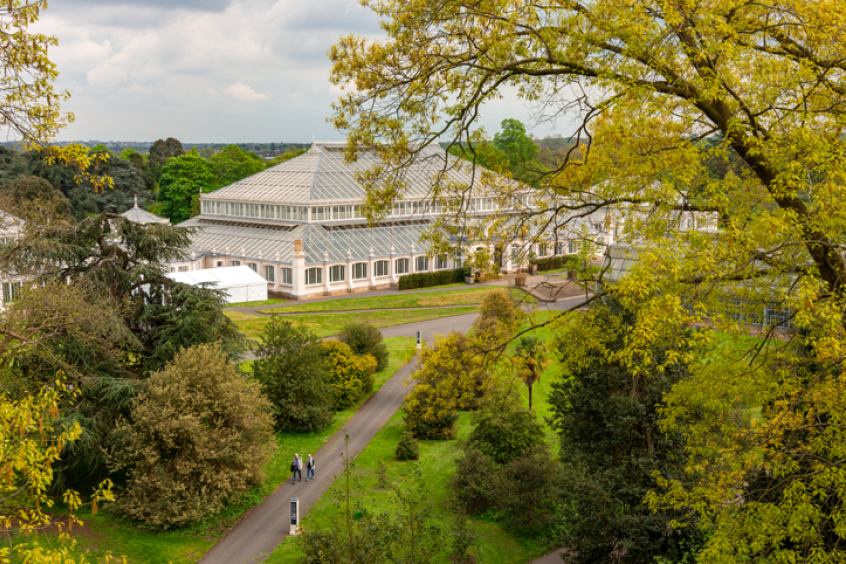 Kew Gardens, nature, gardening, peace, park, outdoors, environment