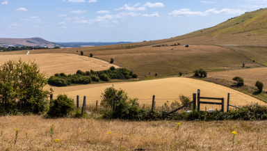 drought, heatwave, South Downs