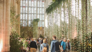 Winchester Cathedral during Wild!