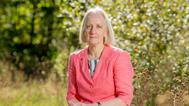 Anita Meston