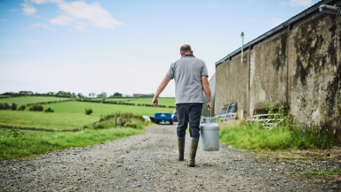 farmer, farming, harvest, agriculture