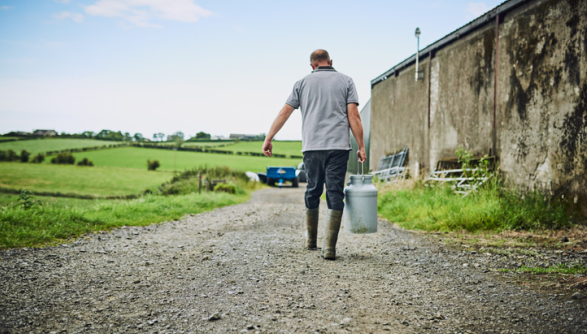 farmer, farming, harvest, agriculture