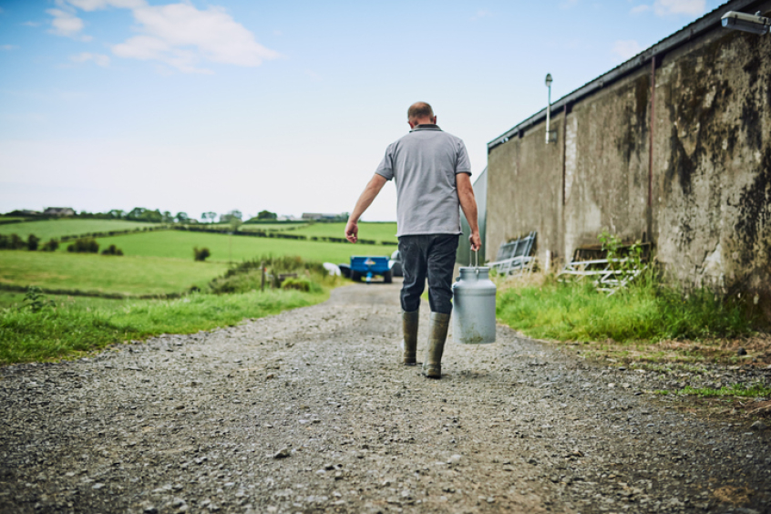 farmer, farming, harvest, agriculture