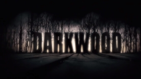 \'Darkwood\' developer puts its own game on Pirate Bay a week after Steam release